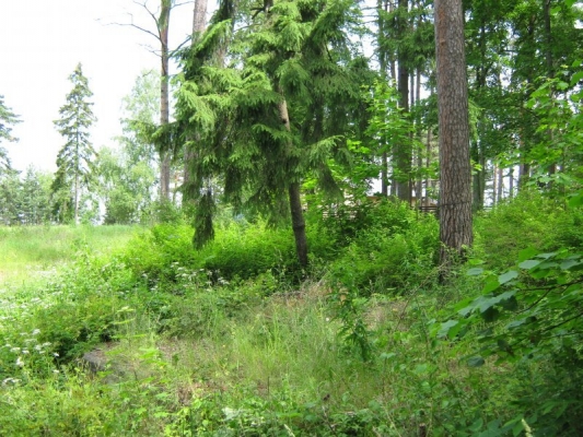 Investīciju objekts, Birzes iela - Attēls 1