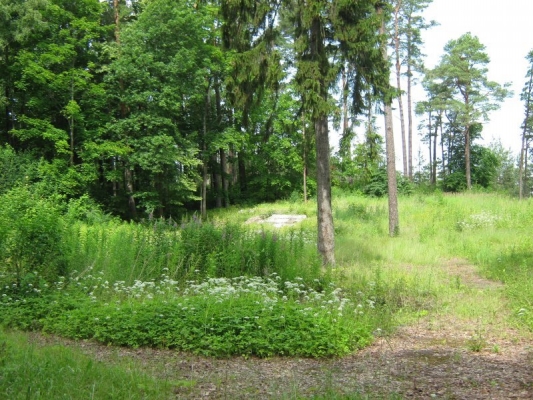 Investīciju objekts, Birzes iela - Attēls 1