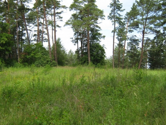 Investīciju objekts, Birzes iela - Attēls 1