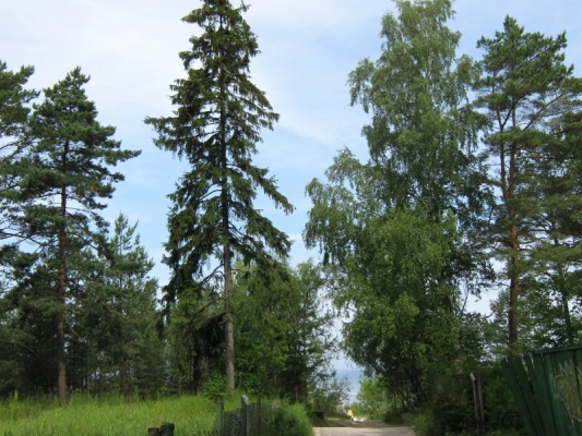 Investīciju objekts, Birzes iela - Attēls 1