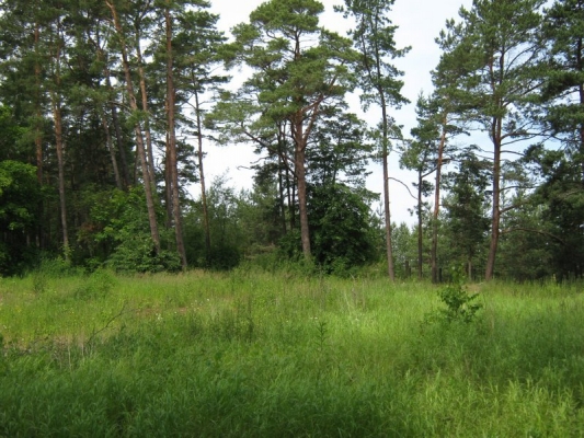 Investīciju objekts, Birzes iela - Attēls 1