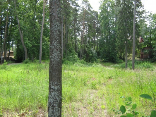 Investīciju objekts, Birzes iela - Attēls 1