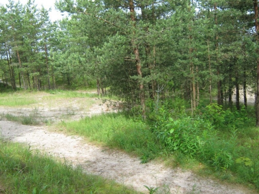 Investīciju objekts, Birzes iela - Attēls 1