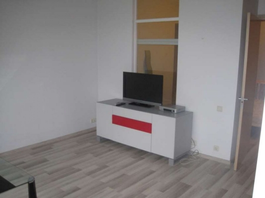 Izīrē dzīvokli, Brīvības iela 174a - Attēls 1