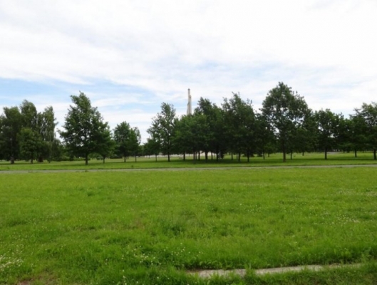 Pārdod zemi, Hermaņa iela - Attēls 1