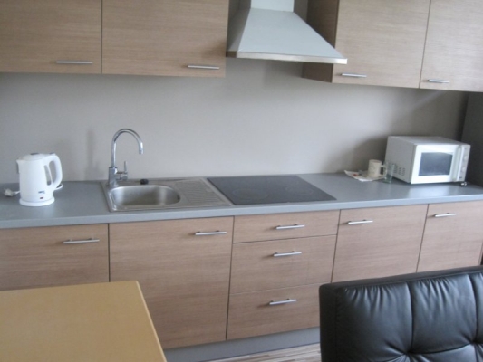 Izīrē dzīvokli, Brīvības iela 174a - Attēls 1