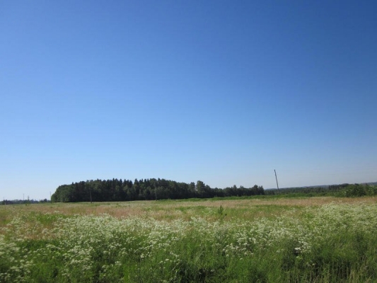 Pārdod zemi, Hermaņa iela - Attēls 1