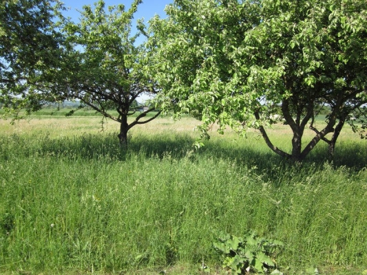 Pārdod zemi, Hermaņa iela - Attēls 1