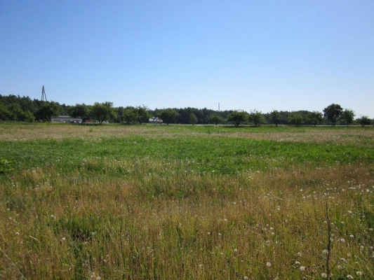 Pārdod zemi, Hermaņa iela - Attēls 1