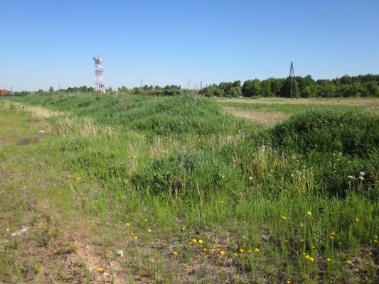 Pārdod zemi, Hermaņa iela - Attēls 1