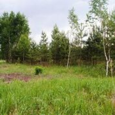 Land plot for sale, Stariņi - Image 1