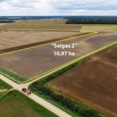 Land plot for sale, Selgas - Image 1