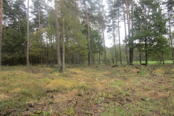 Land plot for sale, Lielķepaiņi - Image 1