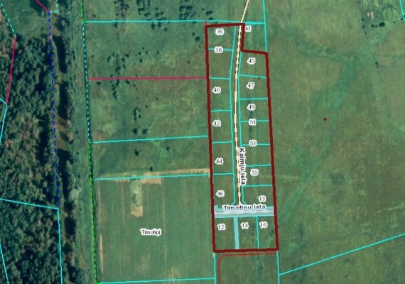Land plot for sale, Ziedu lejas - Image 1