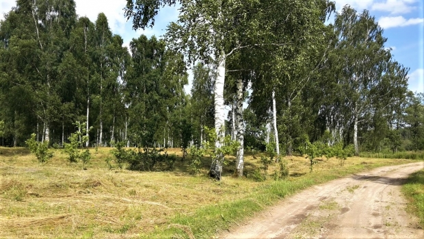Pārdod zemi, Vecumnieku - Attēls 1