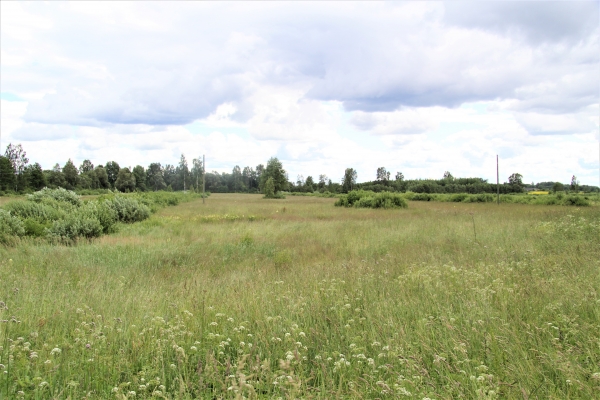 Land plot for sale, Vecumnieki - Image 1
