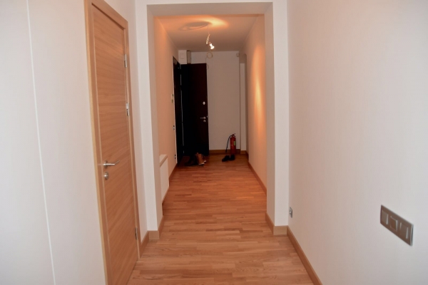Apartment for sale, Birznieka Upīša street 29 - Image 1