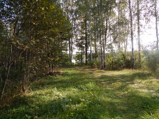 Land plot for sale, Plaudīši - Image 1