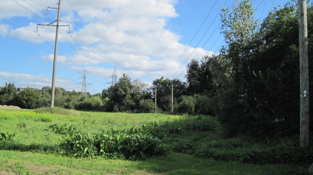 Land plot for sale, Pliederu street - Image 1