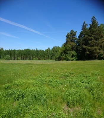 Land plot for sale, Bitenieku street - Image 1