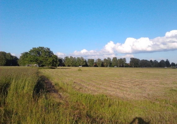 Pārdod zemi, Dimantlauki iela - Attēls 1