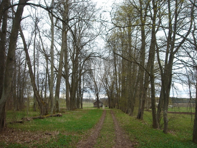 Sludinājumi. Pusotras stundas braucienā no Rīgas, gleznainā ainavā un lauku klusumā atrodas 500 gadus sena muiža Cena: 100000 EUR Foto #5