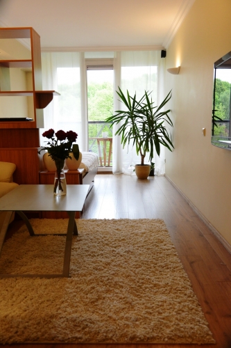 Sludinājumi. Vienistabas studio tipa dzīvoklis jaunajā projektā Klijānu ielā ar terasi uz parka pusi.  + visa Cena: 450 EUR/mēn Foto #3