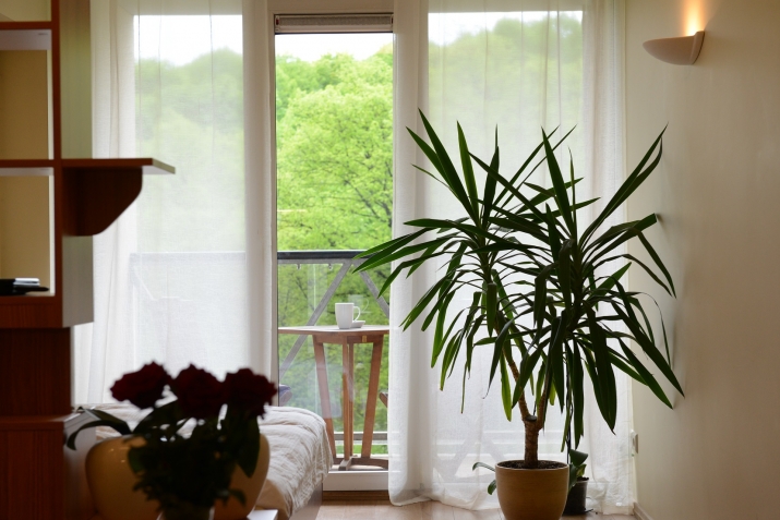 Sludinājumi. Vienistabas studio tipa dzīvoklis jaunajā projektā Klijānu ielā ar terasi uz parka pusi.  + visa Cena: 450 EUR/mēn Foto #1