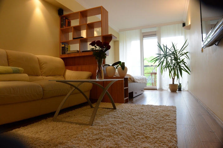 Sludinājumi. Vienistabas studio tipa dzīvoklis jaunajā projektā Klijānu ielā ar terasi uz parka pusi.  + visa Cena: 450 EUR/mēn Foto #5