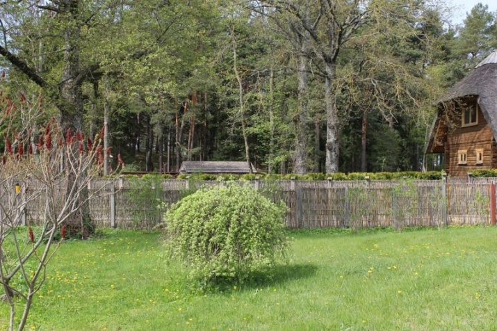 Sludinājumi. Uz vasaru tiek izīrēts lauku īpašums Zvejniekciemā, Saulkrastos.  + Jūra atrodas 150 m attālumā no Cena: 1600 EUR/mēn Foto #4