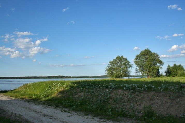 Sludinājumi. Pārdod zemi ~ 50 m no Ķīšezera - Rīgas pusē.   Bez ēkām - gatavu būvniecībai.  - Drīkst apbūvēt 20% Cena: 854000 EUR Foto #3