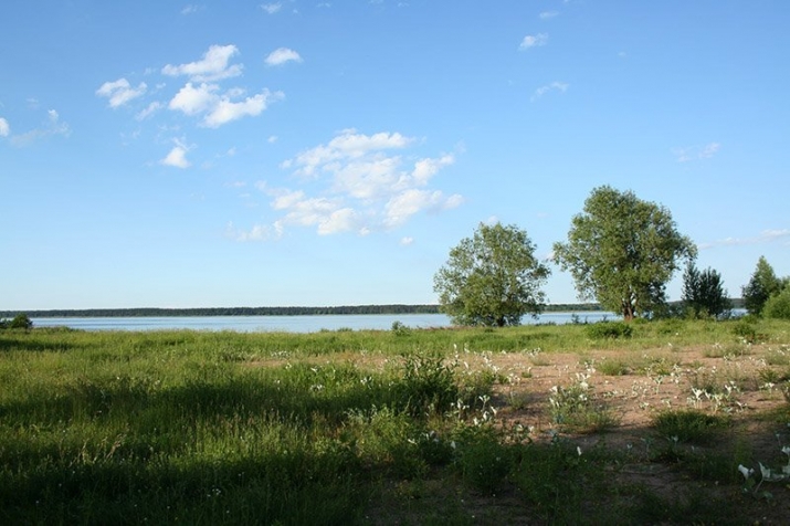 Sludinājumi. Pārdod zemi ~ 50 m no Ķīšezera - Rīgas pusē.   Bez ēkām - gatavu būvniecībai.  - Drīkst apbūvēt 20% Cena: 854000 EUR Foto #4