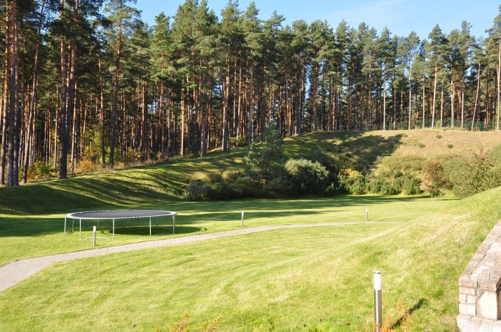 Объявление. Продается земельный участок для частного строительства в Букулты, общей площадью 4533 м2. Цена: 135000 EUR Foto #2