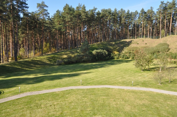 Объявление. Продается земельный участок для частного строительства в Букулты, общей площадью 4533 м2. Цена: 135000 EUR Foto #3