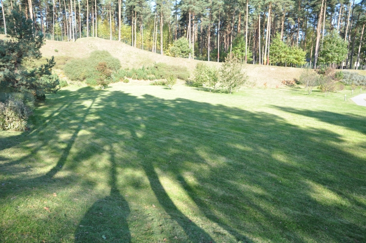 Объявление. Продается земельный участок для частного строительства в Букулты, общей площадью 4533 м2. Цена: 135000 EUR Foto #6