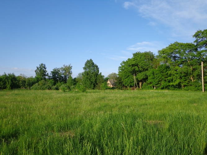 Sludinājumi. Pārdod zemes īpašumu skaistā vietā pie Gaujas. Īpašums atrodas savrupā vietā, gar to neiet ceļi uz Cena: 650000 EUR Foto #4