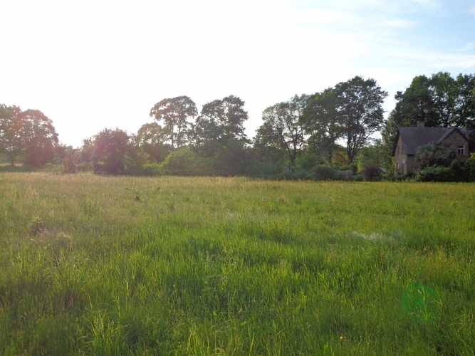 Sludinājumi. Pārdod zemes īpašumu skaistā vietā pie Gaujas. Īpašums atrodas savrupā vietā, gar to neiet ceļi uz Cena: 650000 EUR Foto #6