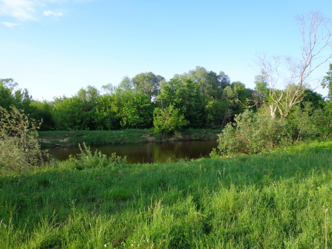 Sludinājumi. Pārdod zemes īpašumu skaistā vietā pie Gaujas. Īpašums atrodas savrupā vietā, gar to neiet ceļi uz Cena: 650000 EUR Foto #7