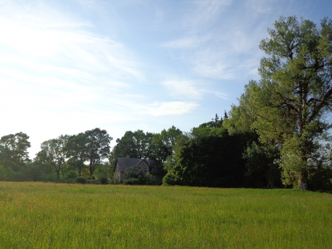 Sludinājumi. Pārdod zemes īpašumu skaistā vietā pie Gaujas. Īpašums atrodas savrupā vietā, gar to neiet ceļi uz Cena: 650000 EUR Foto #9