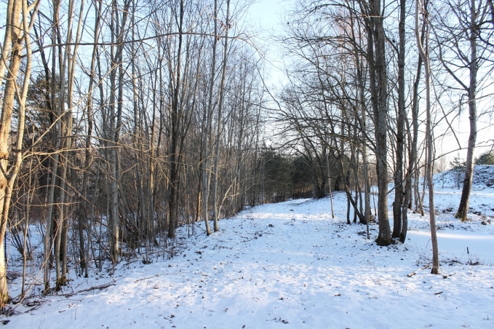 Sludinājumi. Pārdod Zemes gabalu Pļaviņu novadā. Zemes gabala pielietojums - privātmājas būvniecībai. Ainaviska Cena: 6100 EUR Foto #2
