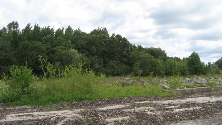 Sludinājumi. Tiek pārdoti 2 ha komerczemesTukumā, kas atrodas Tukuma pilsētas ražošanas un noliktavu teritorijā. Cena: 70000 EUR Foto #6