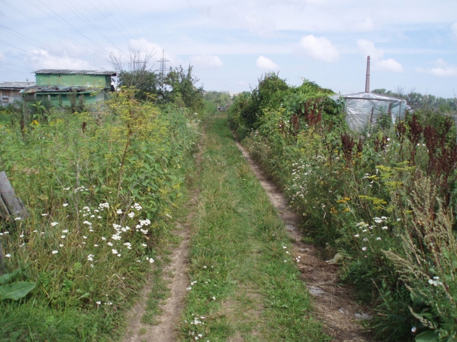 Sludinājumi. Pārdod zemes gabalu 2.28 ha platībā Daugavas krastā. Saskaņā ar attīstības plānu zemes gabals Cena: 25000 EUR Foto #7