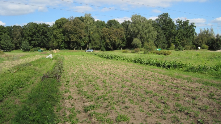 Sludinājumi. Pārdod daļu nekustamā īpašuma, zemes vienību 1.70 ha platībā Ķekavas centrā. Zemes vienību šķērso Cena: 56000 EUR Foto #4