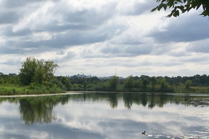 Sludinājumi. Pārdod vēsturisku ēku ar koptu zemi pie Driksas upes Jelgavā, ar attīstības potenciālu. Īpašuma Cena: 740000 EUR Foto #5