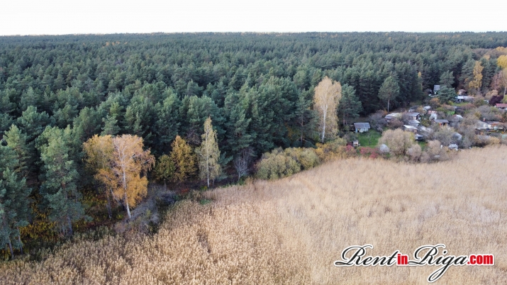 Sludinājumi. Pārdod zemi gleznainā vietā  Mangaļsala mājas celtniecībai.  Platība: 5510 m  Paredzēts dzīvojamo Cena: 99000 EUR Foto #2