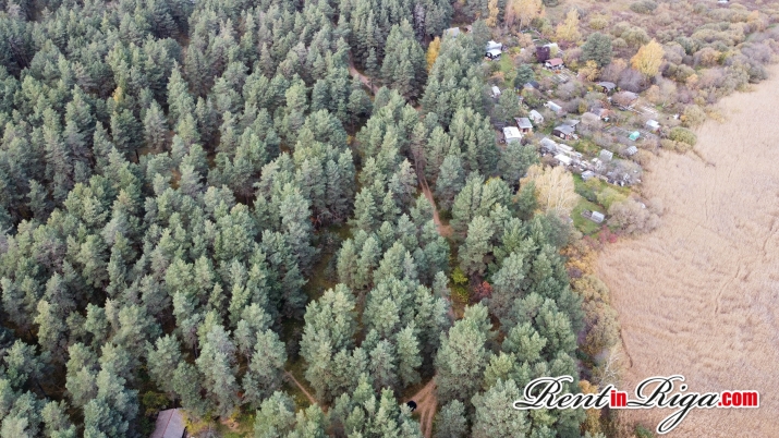 Sludinājumi. Pārdod zemi gleznainā vietā  Mangaļsala mājas celtniecībai.  Platība: 5510 m  Paredzēts dzīvojamo Cena: 99000 EUR Foto #9