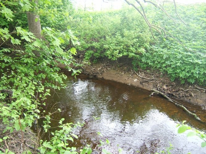 Sludinājumi. Iegādei pieejami divi zemes gabali.   Akmeņkaļu iela 23 - 2557 m2  + Akmeņkaļu iela turpinās uz Cena: 83928 EUR Foto #3