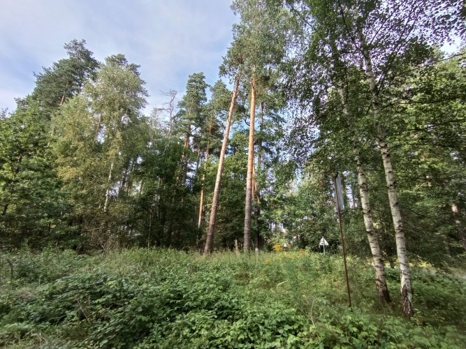 Sludinājumi. Pārdod apbūves zemi Garkalnes pagasta Sunīšos Ezerkrasta ciematā, kas atrodas Sunīšu ezera tiešā Cena: 87000 EUR Foto #7