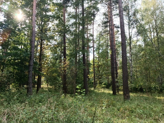 Sludinājumi. Pārdod apbūves zemi Garkalnes pagasta Sunīšos Ezerkrasta ciematā, kas atrodas Sunīšu ezera tiešā Cena: 87000 EUR Foto #8