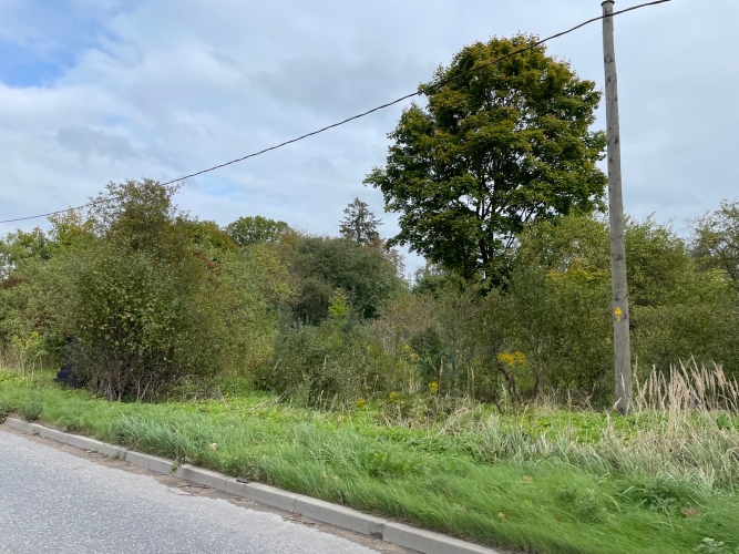 Sludinājumi. Apbūves zeme rūpnieciskās apbūves zonējumā Ropažu novada, Stopiņu novadā Rumbulā.  Saskaņā ar spēkā Cena: 186375 EUR Foto #4